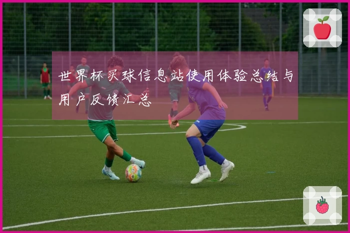 世界杯买球信息站使用体验总结与用户反馈汇总