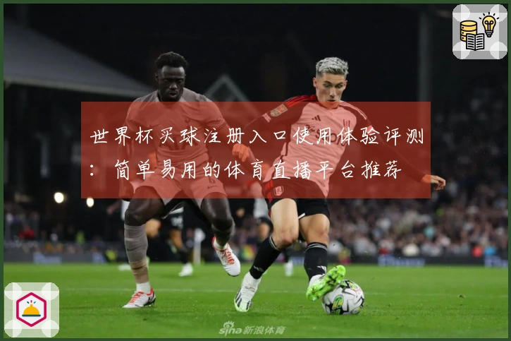 世界杯买球注册入口使用体验评测：简单易用的体育直播平台推荐