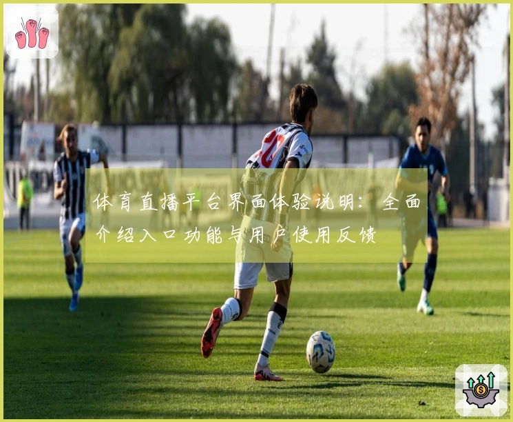 体育直播平台界面体验说明:全面介绍入口功能与用户使用反馈