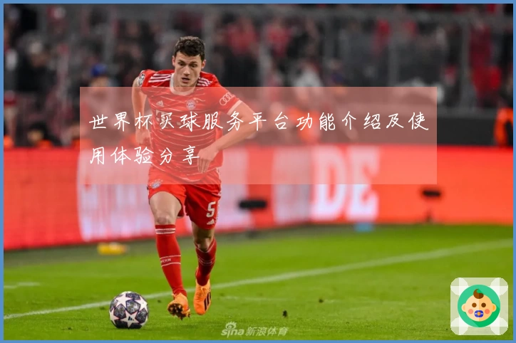 世界杯买球服务平台功能介绍及使用体验分享