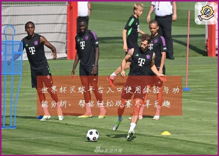 世界杯买球平台入口使用体验与功能分析，帮你轻松观赛尽享乐趣