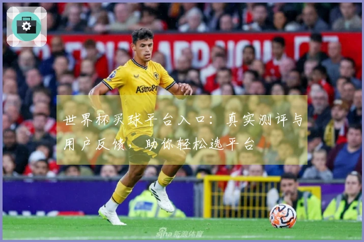 世界杯买球平台入口：真实测评与用户反馈，助你轻松选平台