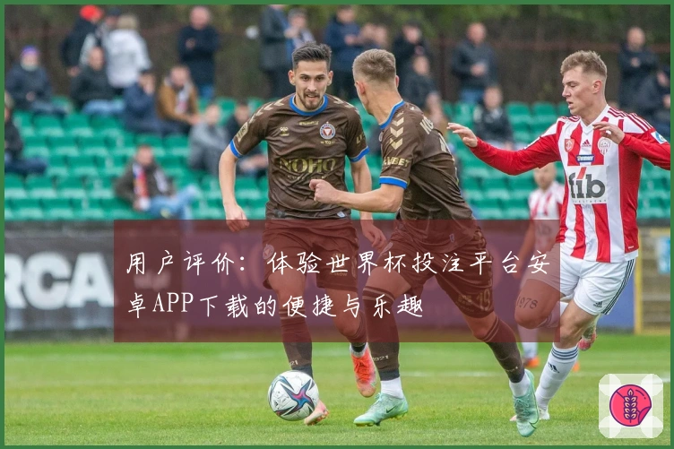 用户评价：体验世界杯投注平台安卓APP下载的便捷与乐趣