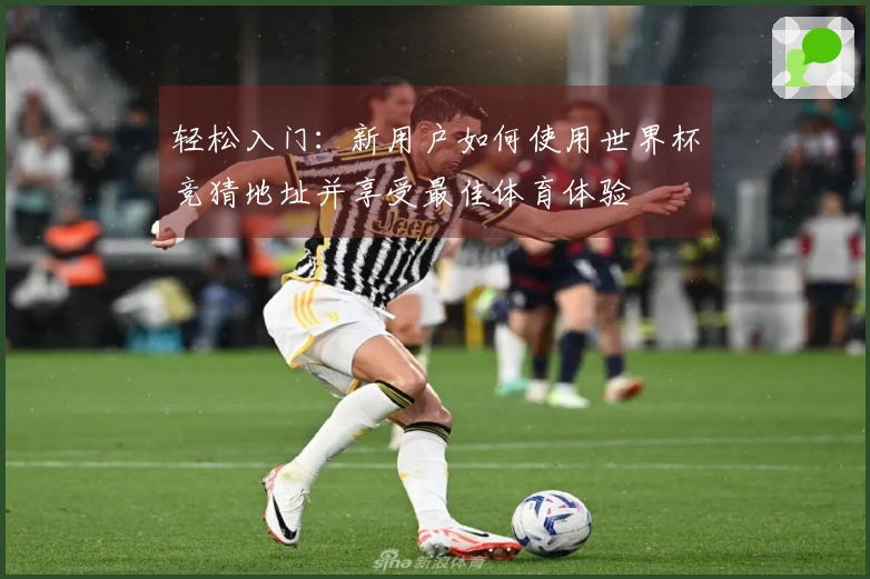 轻松入门：新用户如何使用世界杯竞猜地址并享受最佳体育体验