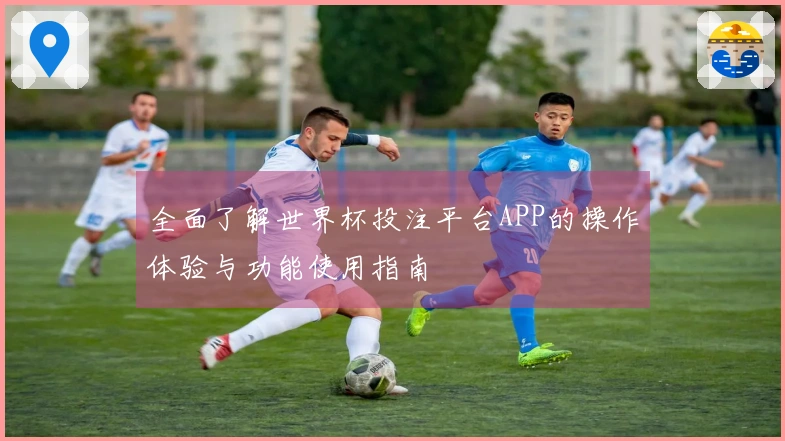 全面了解世界杯投注平台APP的操作体验与功能使用指南