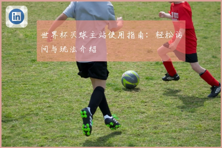 世界杯买球主站使用指南：轻松访问与玩法介绍