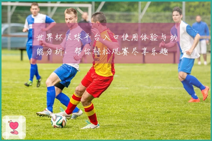 世界杯买球平台入口使用体验与功能分析，帮你轻松观赛尽享乐趣