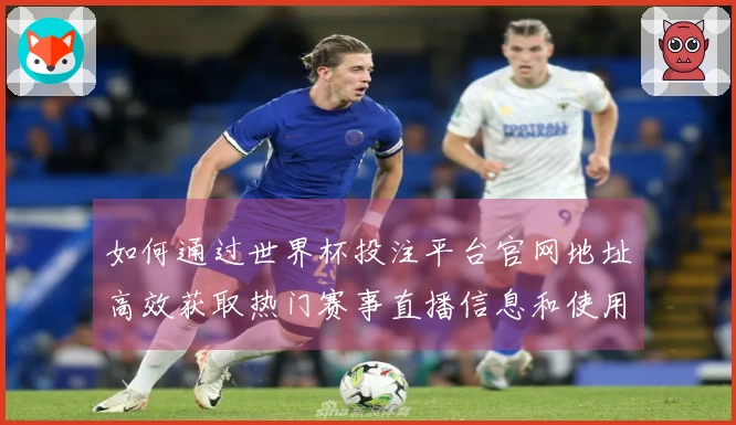 如何通过世界杯投注平台官网地址高效获取热门赛事直播信息和使用技巧