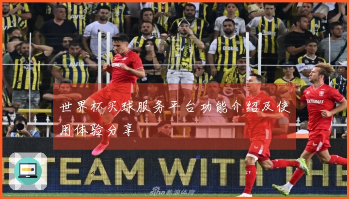 世界杯买球服务平台功能介绍及使用体验分享