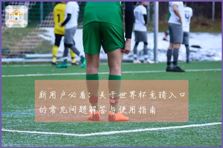 新用户必看：关于世界杯竞猜入口的常见问题解答与使用指南