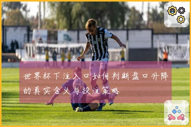 世界杯下注入口如何判断盘口升降的真实含义与投注策略