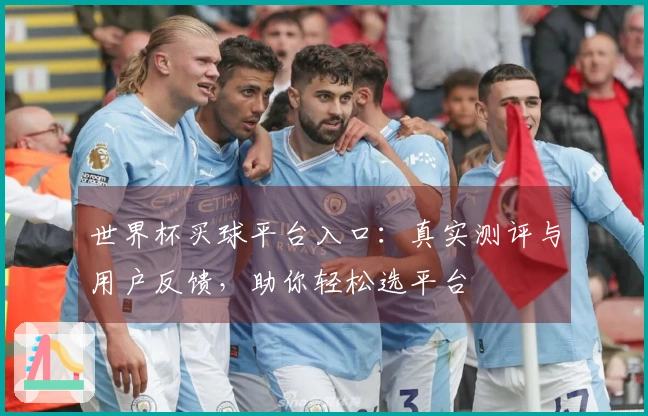 世界杯买球平台入口：真实测评与用户反馈，助你轻松选平台