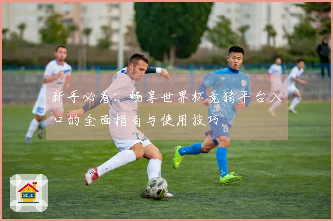 新手必看：畅享世界杯竞猜平台入口的全面指南与使用技巧