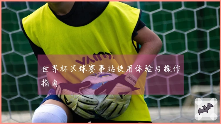 世界杯买球赛事站使用体验与操作指南