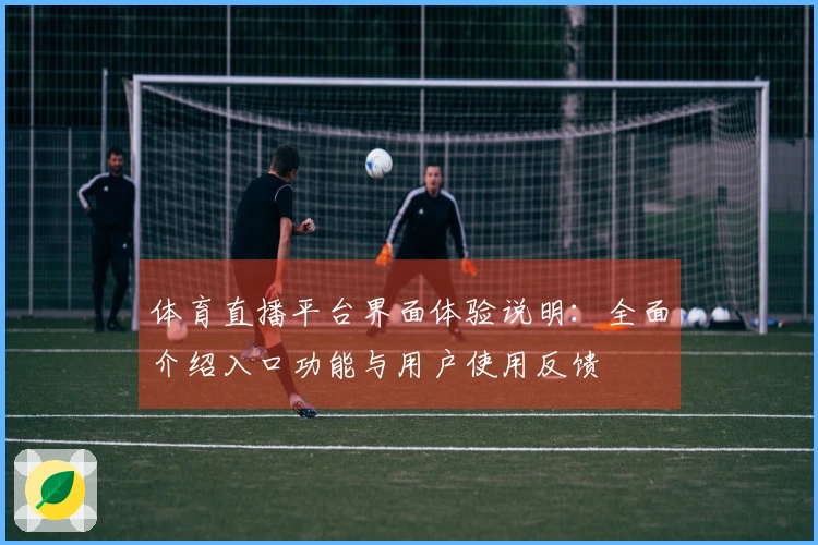 体育直播平台界面体验说明：全面介绍入口功能与用户使用反馈