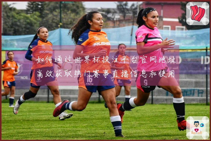 如何通过世界杯投注平台官网地址高效获取热门赛事直播信息和使用技巧